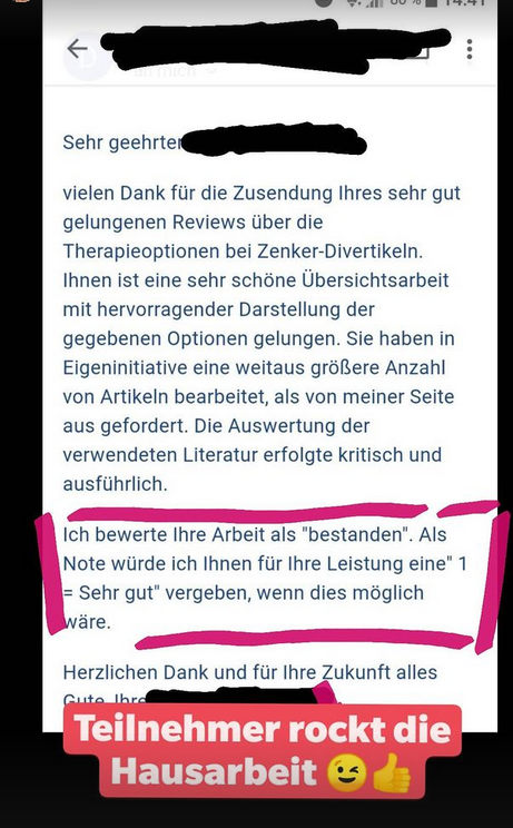 Timo Hausarbeit